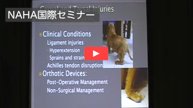 DVD | 日本動物病院会（NAHA）